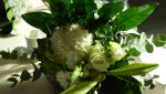42 Bloemen close-up